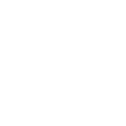 PEGASUS